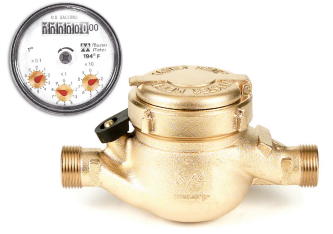 Load image into Gallery viewer, CSV 1” Hot Water Meter for California 1 pulse/1 CF
